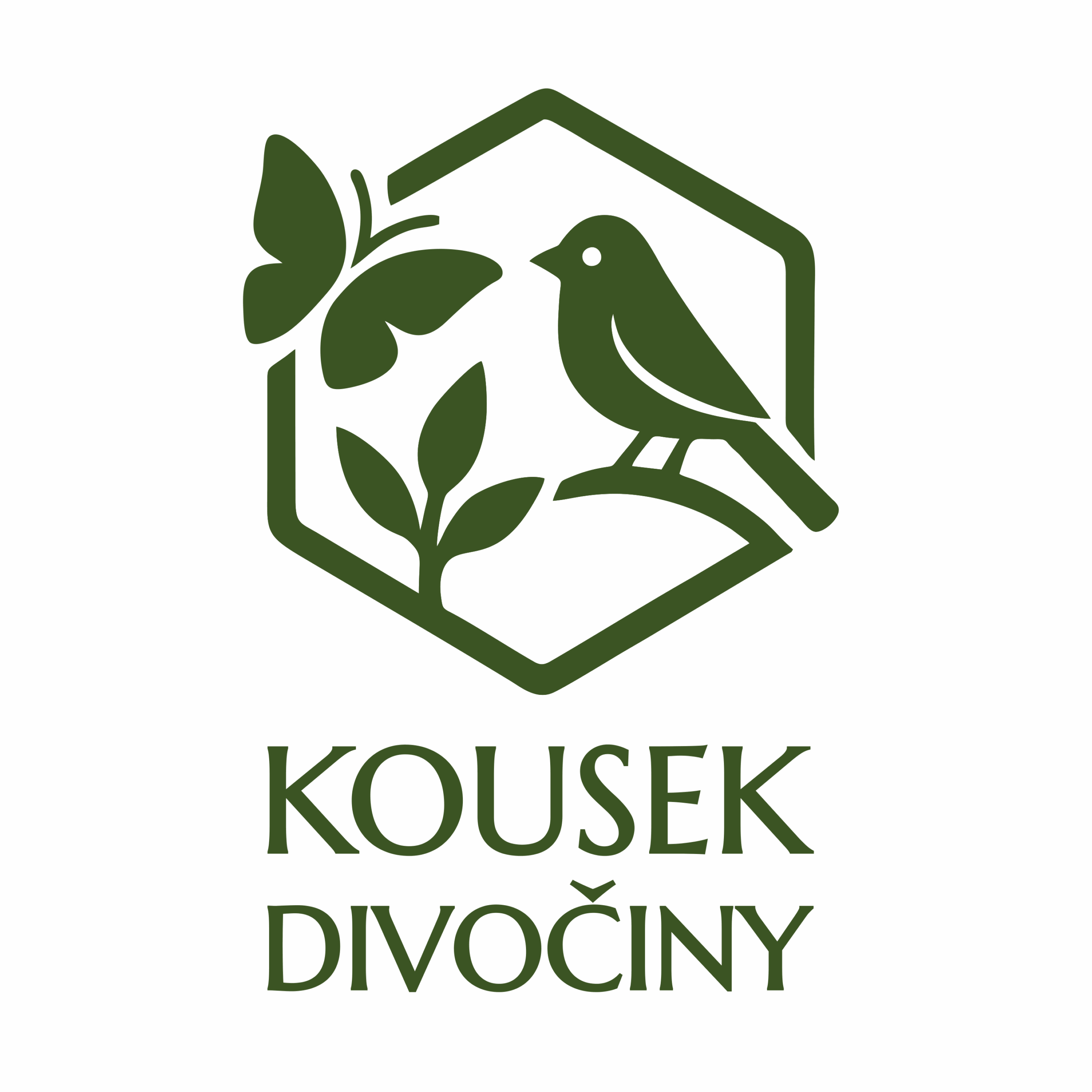 logo na web